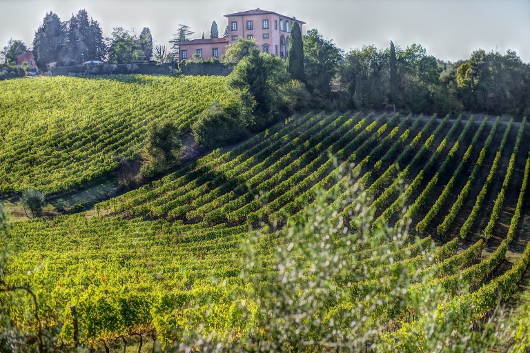 Van Florence: PRIVÉ-wijnervaring in Chianti ClassicoHele dag wijnervaring in Chianti Classico