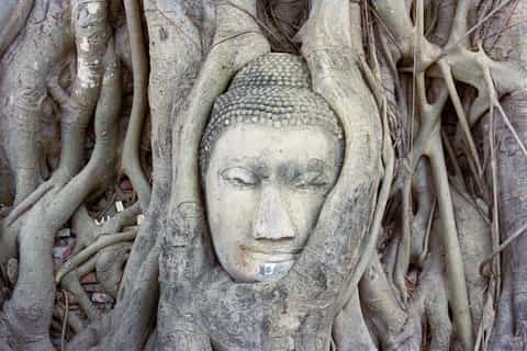 Bangkok: Ayutthaya River Cruise with Lunch & Bike Tour
