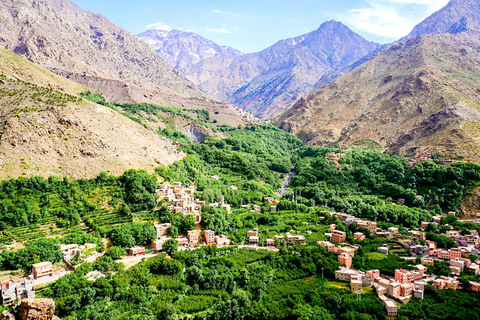 From Marrakech: Ourika Valley and Atlas Mountains Day TourGuided Day Tour