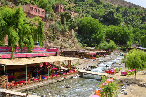 De Marrakech: Excursão de um dia ao Vale do Ourika e às Montanhas AtlasExcursão Guiada de 1 DIa