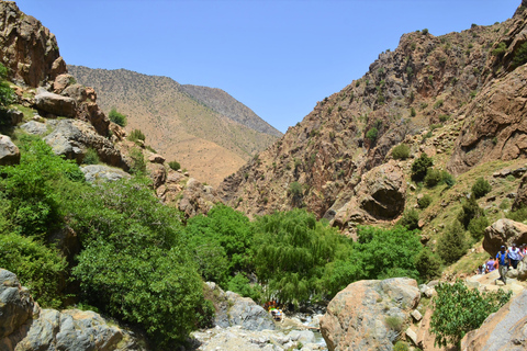 De Marrakech: Excursão de um dia ao Vale do Ourika e às Montanhas AtlasExcursão Guiada de 1 DIa