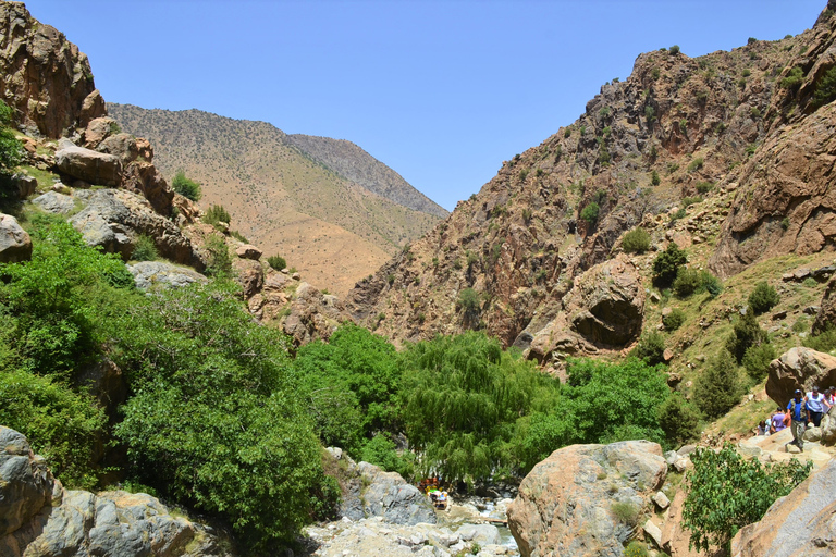 Da Marrakech: Tour di un giorno della Valle dell&#039;Ourika e delle Montagne dell&#039;AtlanteTour guidato di 1 giorno