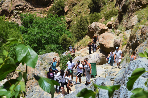 De Marrakech: Excursão de um dia ao Vale do Ourika e às Montanhas AtlasExcursão Guiada de 1 DIa