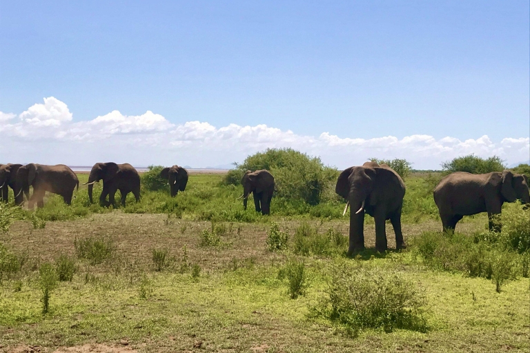 14 jours d'aventure en Ouganda pour la faune et les primatesVisite de groupe guidée en anglais