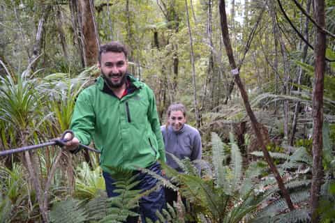 Franz Josef: Kayak & Walking Tour to Okarito Kiwi Sanctuary
