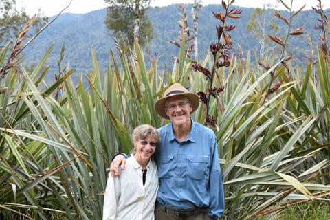 Franz Josef Glacier: 2.5-Hour Lake Mapourika Cruise and Walk