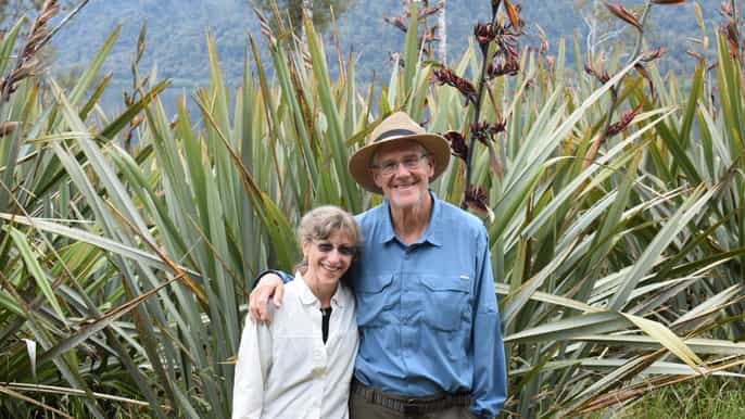 franz josef glacier 2.5hour lake mapourika cruise and walk