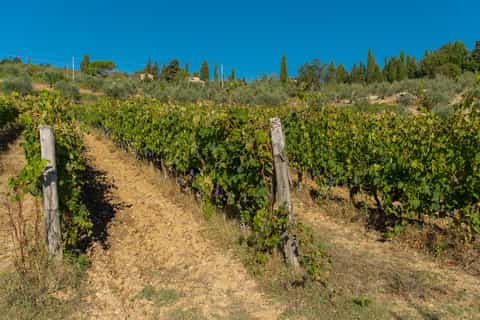 Florence: Val d’Orcia Hike & Tuscan Villages Full-Day Trip