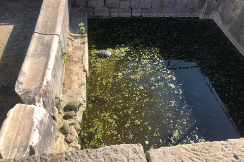 Desde Estambul Excursión de un día a la antigua Pérgamo con vuelos