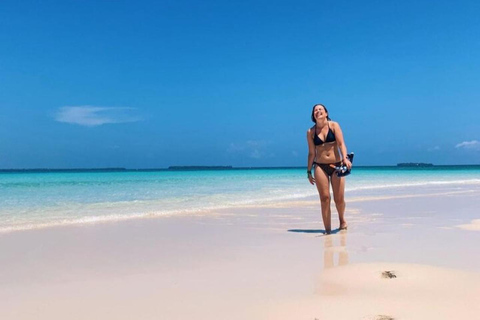Diani: Wasini Island Dolphin Safari & Snorkeling
