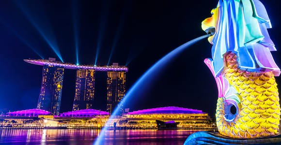 Guided Night River Cruise with Garden Rhapsody & Spectra