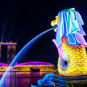 Guided Night River Cruise with Garden Rhapsody & Spectra Guided Night River Cruise with Garden Rhapsody & Spectra