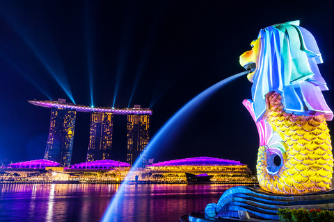 Guided Night River Cruise with Garden Rhapsody & Spectra