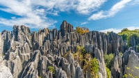 Kunming, private Halbtagestour durch den Steinwaldpark w/Option - Hizvo