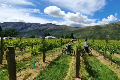 Queenstown: Tour guidato in bicicletta elettronica con visite e degustazioni di cantine