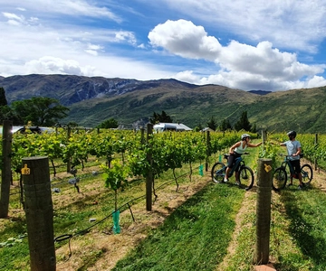 Queenstown: Tour guiado de E-Bike com visitas e degustações em vinícolas