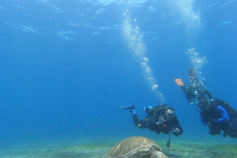 Tenerife sur: Buceo para principiantes en Adeje