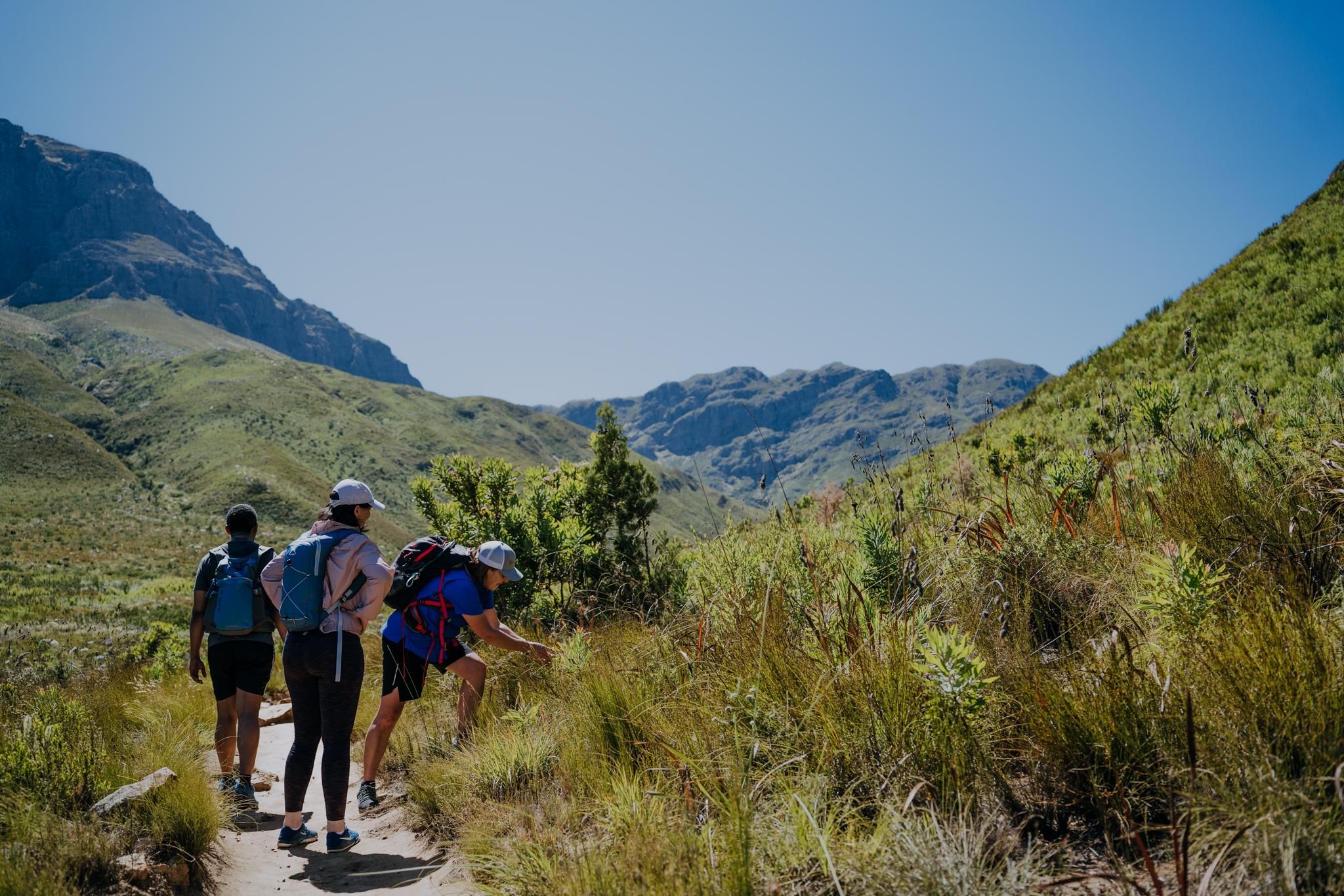 Jonkershoek: Wasserfallwanderung und 4x4-Safari