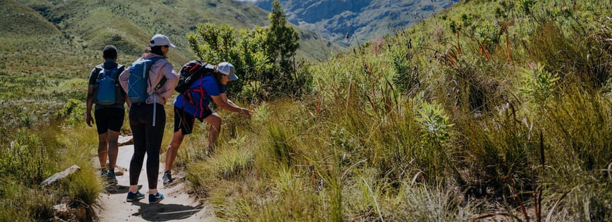 Jonkershoek : randonnée aux cascades et safari en 4x4