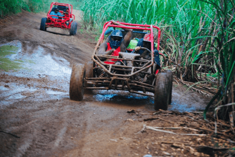 From Bayahibe: Half-day La Romana ATV or 4X4 Buggy Tour