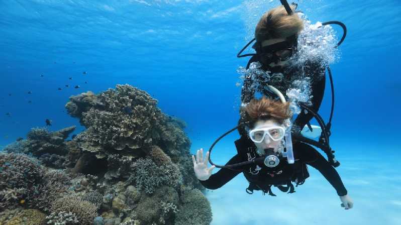 Naha: Tokashiki Day Trip & Kerama Islands Scuba Diving Trip