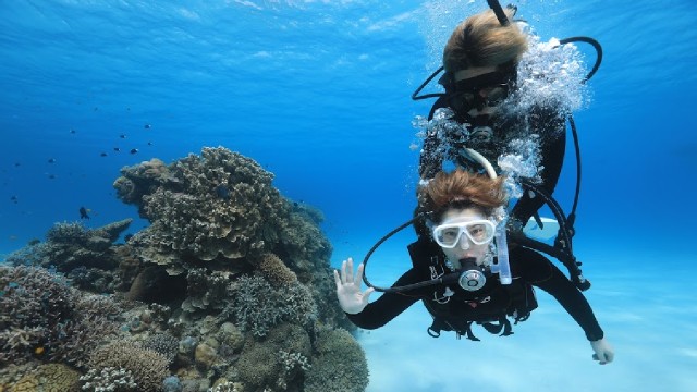 Visit Naha Tokashiki Day Trip & Kerama Islands Scuba Diving Trip in Okinawa