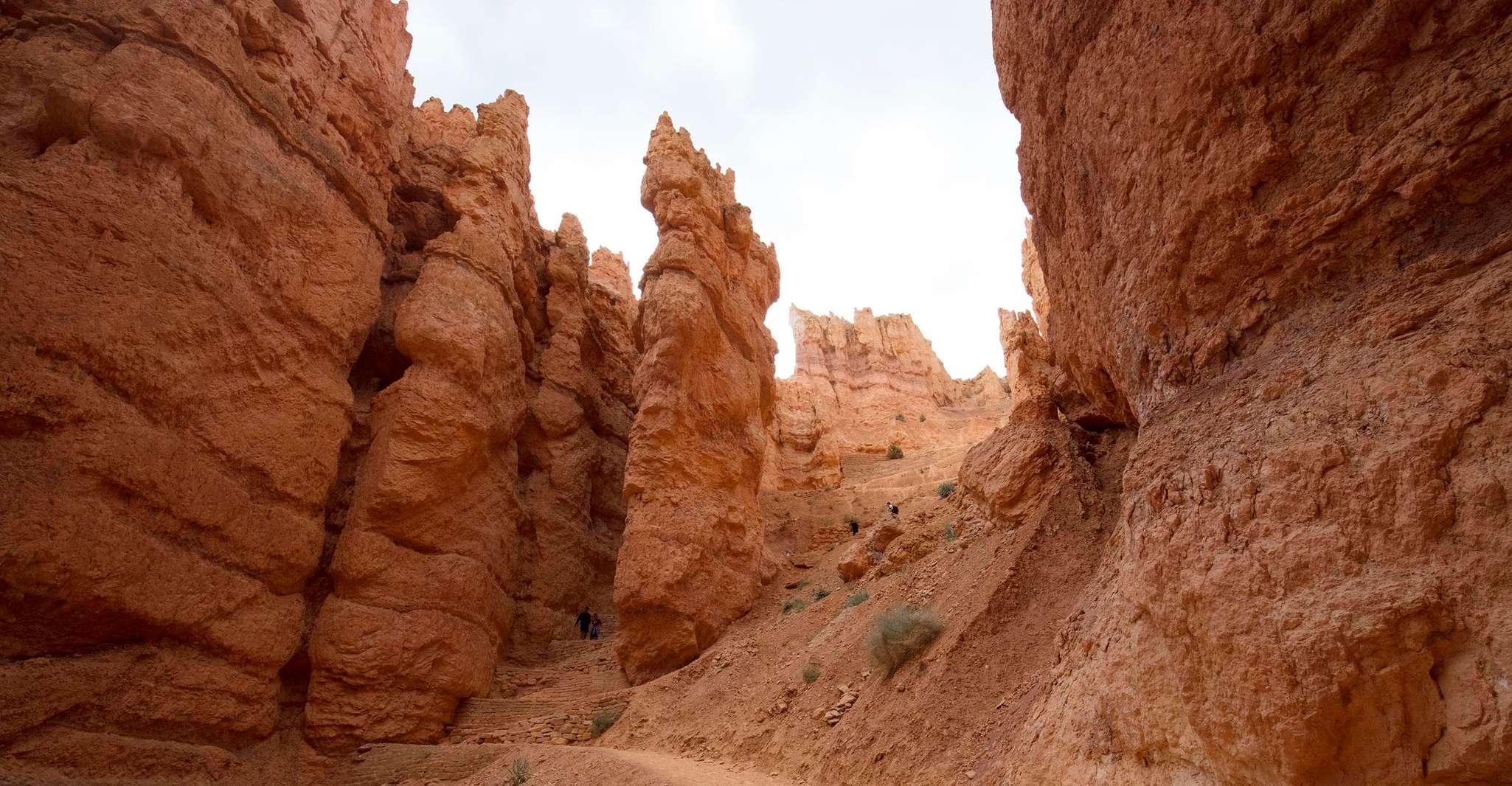 San Francisco, Yosemite, Las Vegas, Bryce & Zion Voyage de 6 jours - Hizvo