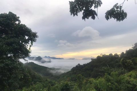 Khao Sok National Park: Full-Day Trek to Tung Nam Waterfall