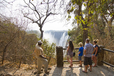 Chutes Victoria : Visite guidéeChutes Victoria : Visite guidée - côté zambien