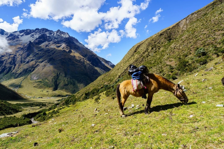 Ab Cusco: Geführte Tagestour zum Humantay-Gletschersee