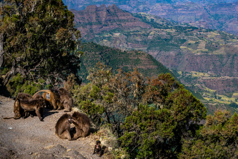 Addis Abeba - 1-dniowa wycieczka do Debre Libanos