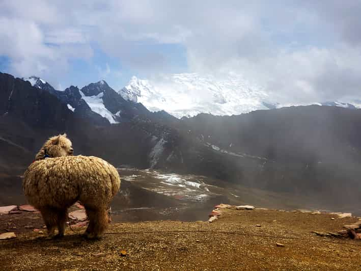 Cusco Full Day Tour To Rainbow Mountain Getyourguide