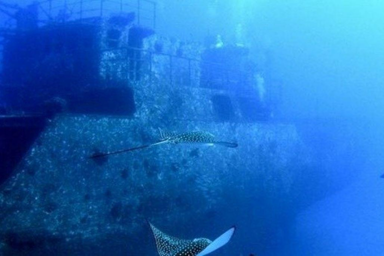 Honolulu: Schemering en ondiepe nachtduikVoeg een snorkelaar/ meerijder toe