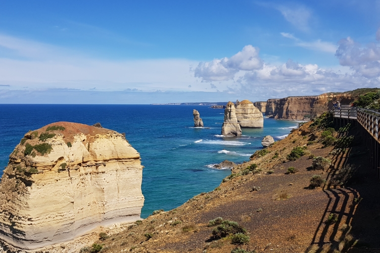 Z Melbourne: ostateczna 2-dniowa wycieczka Great Ocean Road