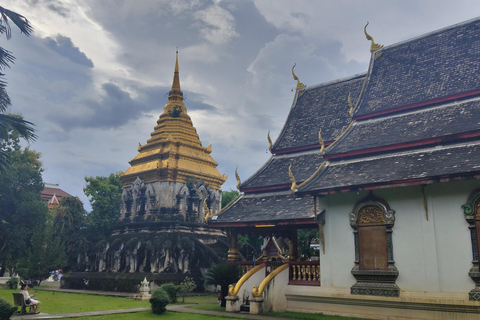 Chiang Mai: Temples & Old City Hidden Gems with local guide Private Tour (with transfer)