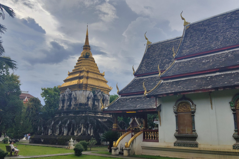 Chiang Mai: Temples & Old City Hidden Gems with local guide Private Tour (with transfer)