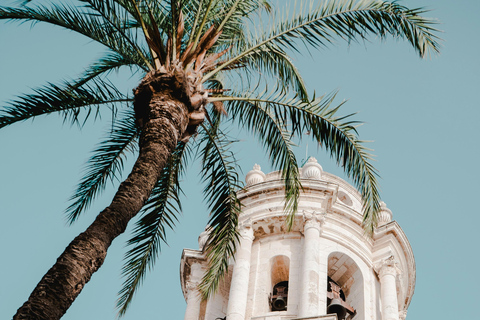 Tour audioguidato di Cádiz Monumental, al tuo ritmo