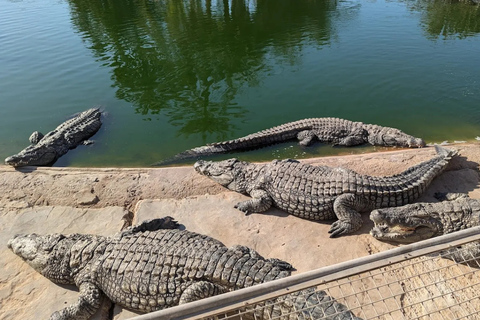 Djerba: Djerba Explore Experience with Crocodiles and Lella Hadhria Museum