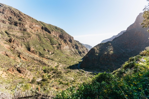 Vanuit Las Palmas: rondleiding de schatten van Gran Canaria