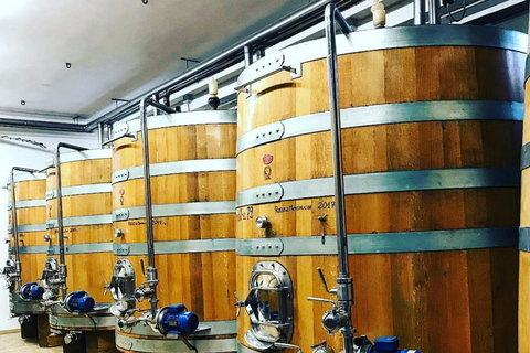 Florencia: Tour privado de vino Brunello de día completo a Montalcino¡Visita privada a Brunello!