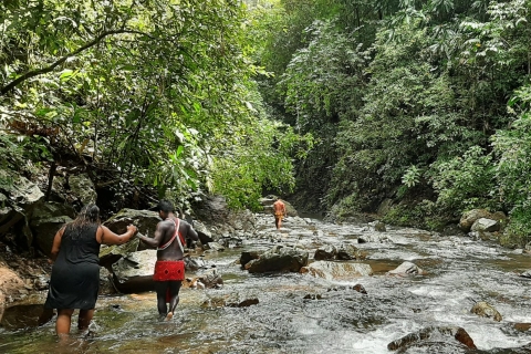 Depuis Panama : parc national de Chagres et village d'EmberaVisite privée en anglais
