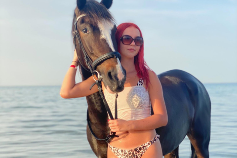 Hurghada: Abenteuerausflug mit Pferden durch die Wüste und zum StrandPrivater Ausritt in Hurghada: Wüste &amp; Strand