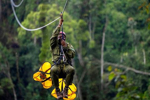 1-Day Nyungwe Forest Canopy Walk and Zipline adventure