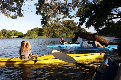 Las Isletas: Kayak Tour