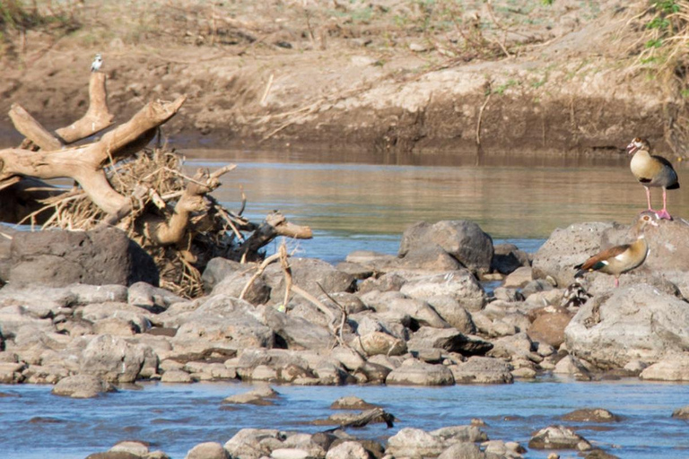 Awash-Nationalpark – Safari &amp; Wasserfallblick