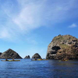 The Catlins: Sea Kayak Tour to Nugget Point Lighthouse