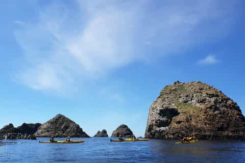 The Catlins: Sea Kayak Tour to Nugget Point Lighthouse