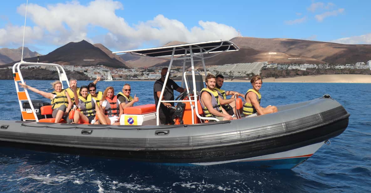 Fuerteventura: 1.5-Hour Dolphin and Whale Watching Tour
