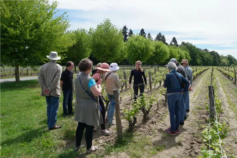 Tour por el Valle del Loira y Cata de Vinos Vouvray, Chinon, Bourgueil
