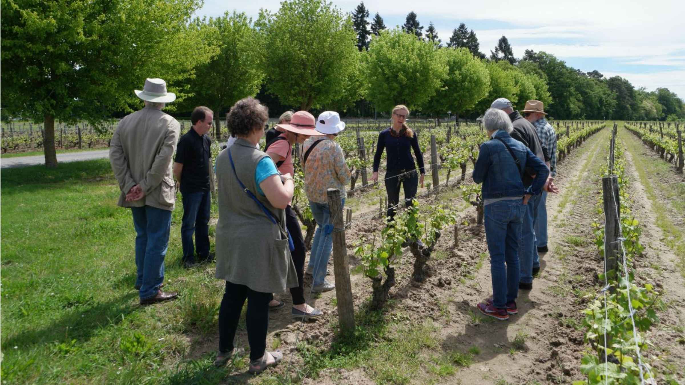 Tour pelo Vale do Loire e degustação de vinhos Vouvray, Chinon, Bourgueil